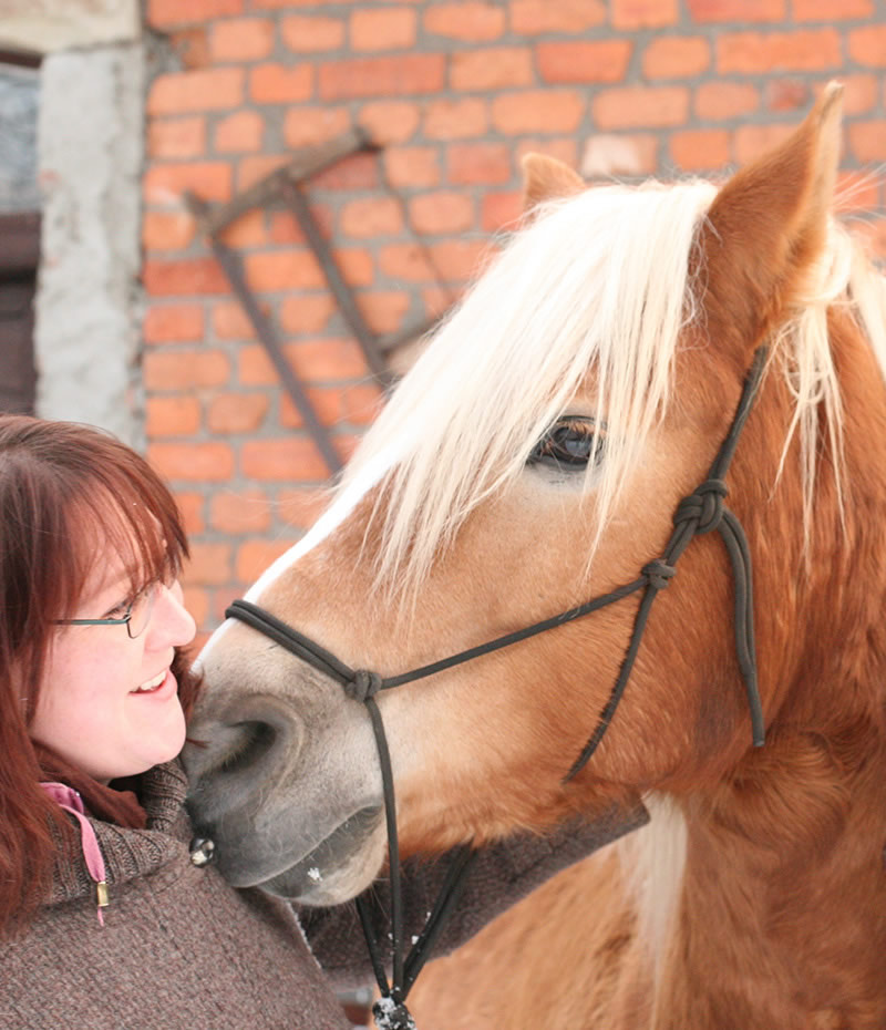 coaching mit pferd coachig mit pferd